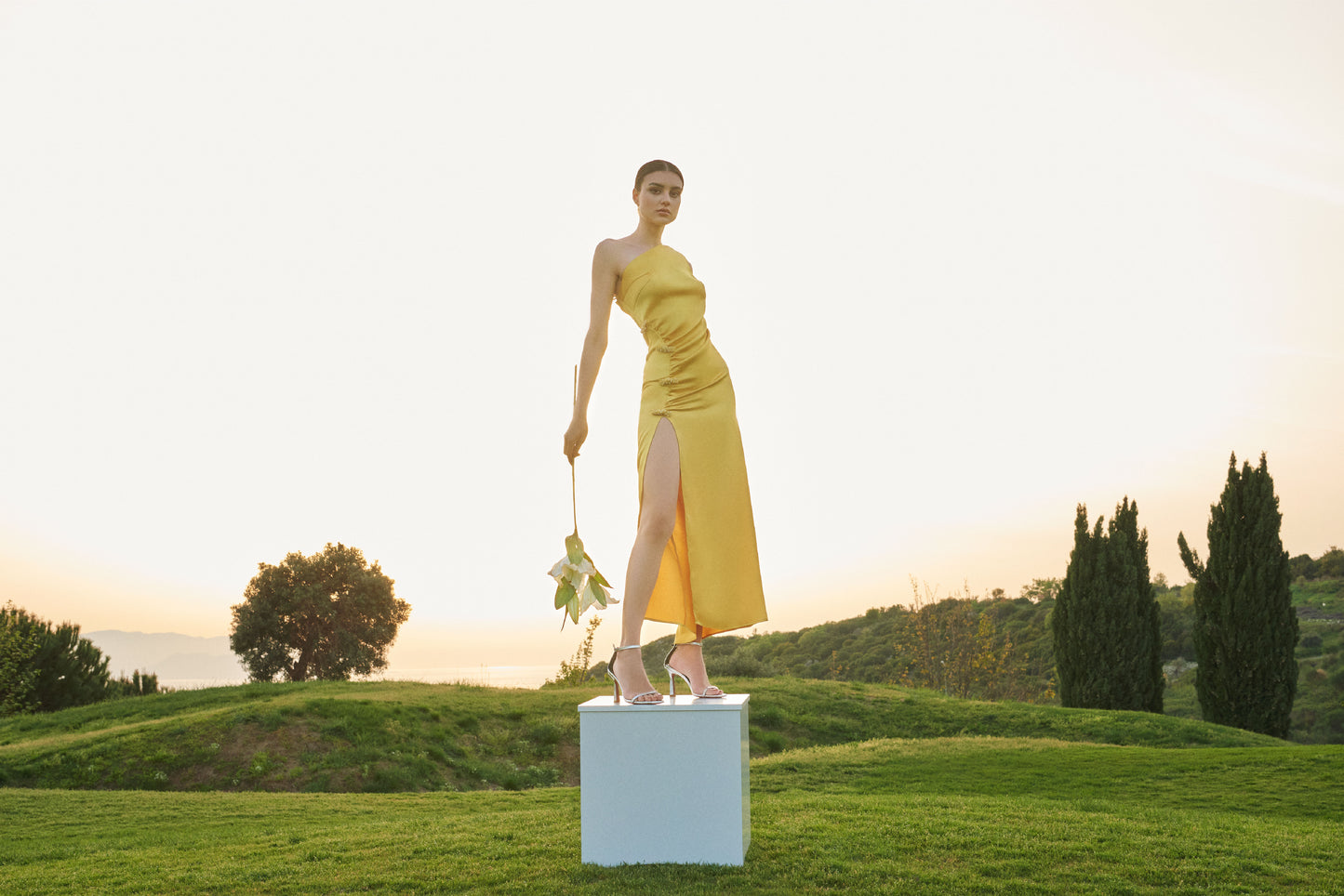 LUNA MIDI DRESS